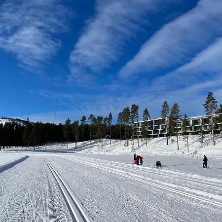 Aarni Vuokatti